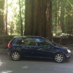 My car in front of a Redwood