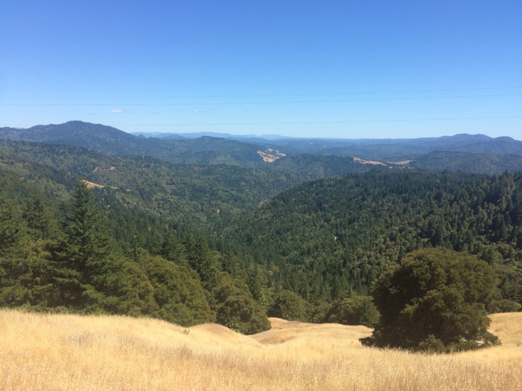Valley view from mountain