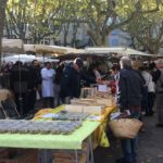 Mushroom kiosk in market