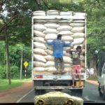Men hanging onto rice bags